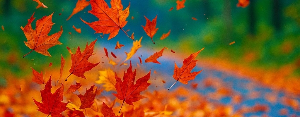 GROSSE HERBSTAKTIONS-WOCHEN BEI ROLF HORN! - Für kurzfristig verfügbare BMW Neu– und Vorführwagen.