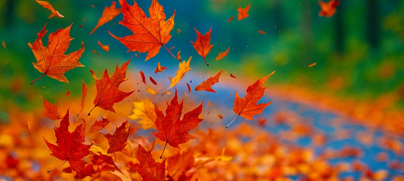 GROSSE HERBST-AKTIONSWOCHEN